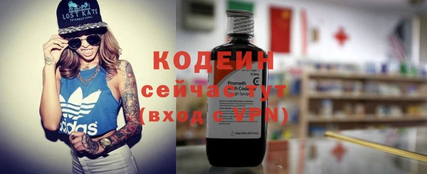 стаф Вяземский