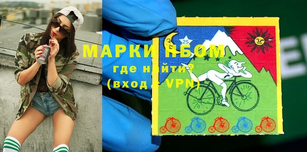 стаф Вяземский
