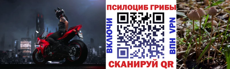 купить наркоту  Салават  Псилоцибиновые грибы Magic Shrooms 